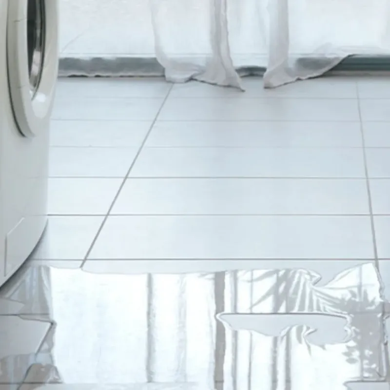 Appliance Leak Cleanup in Brown City, MI