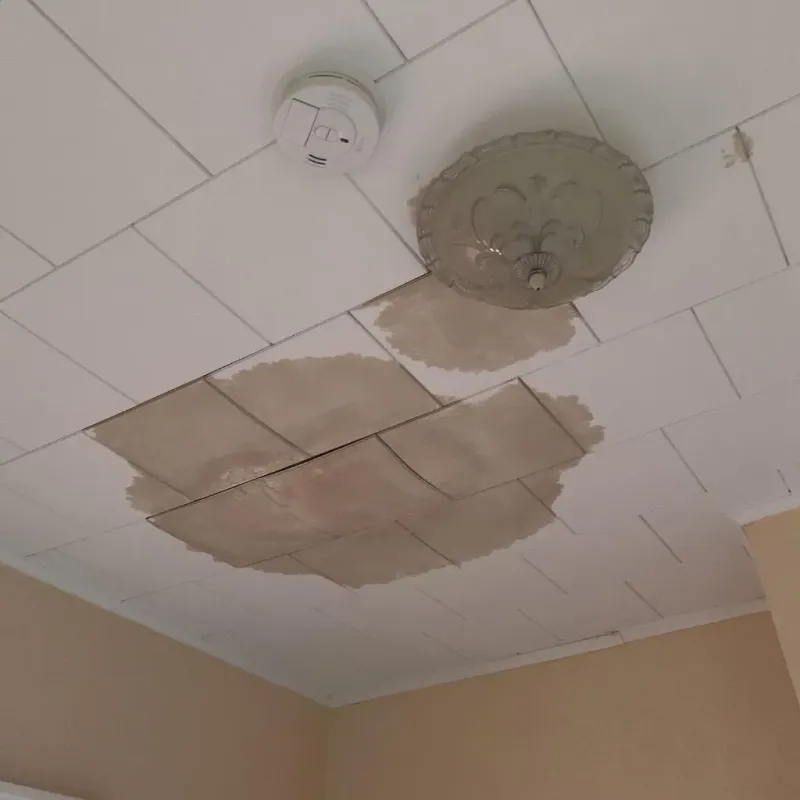 Ceiling Water Damage Repair in Brown City, MI