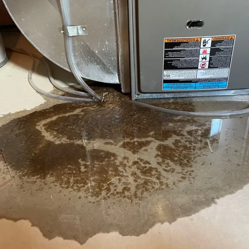 Pipe Burst and Leak Restoration in Brown City, MI
